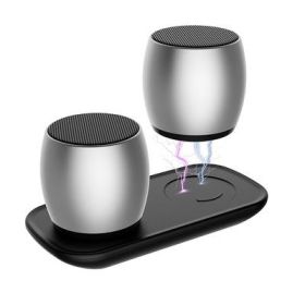 Sound Of Love Duet Dual Speakers (Color: Gold)